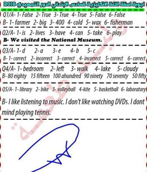 كيف نُنمّي مهارة القراءة عند تلاميذ المرحلة الابتدائية؟